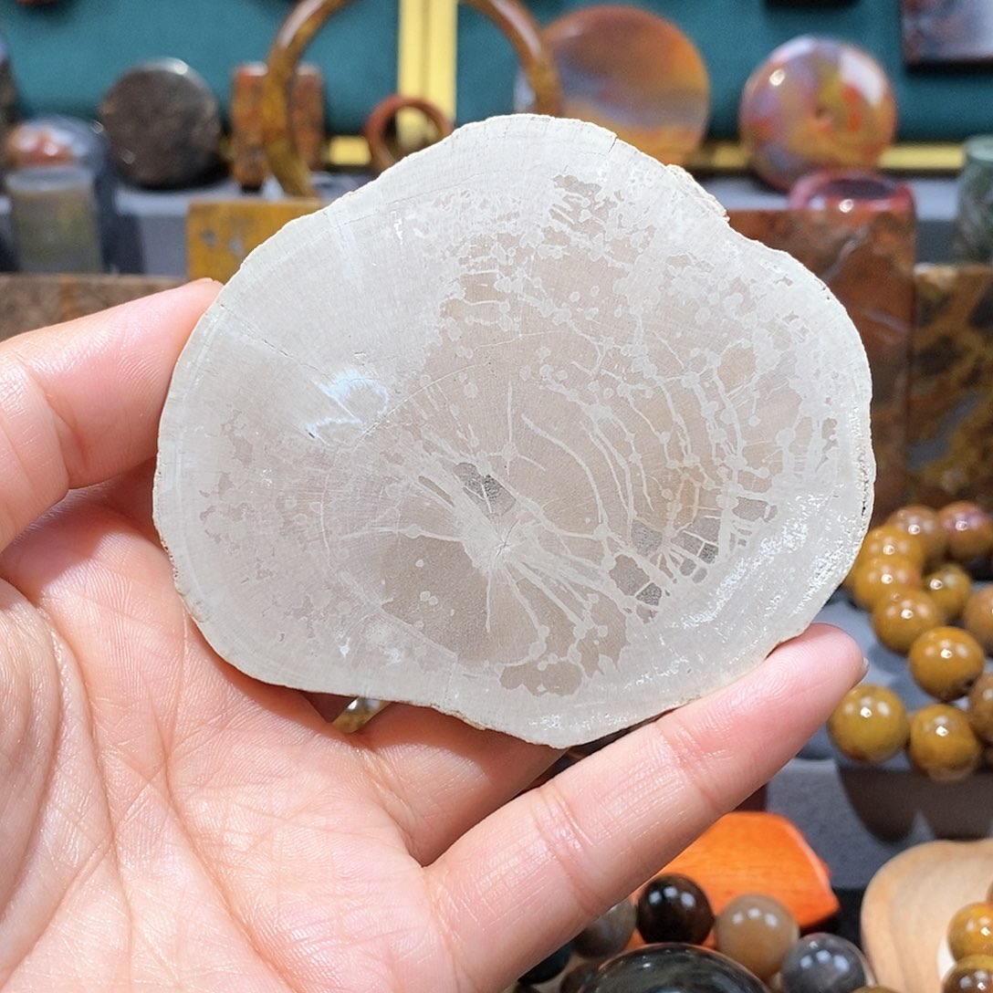 硅化玉天然北票硅化玉原石未镶嵌