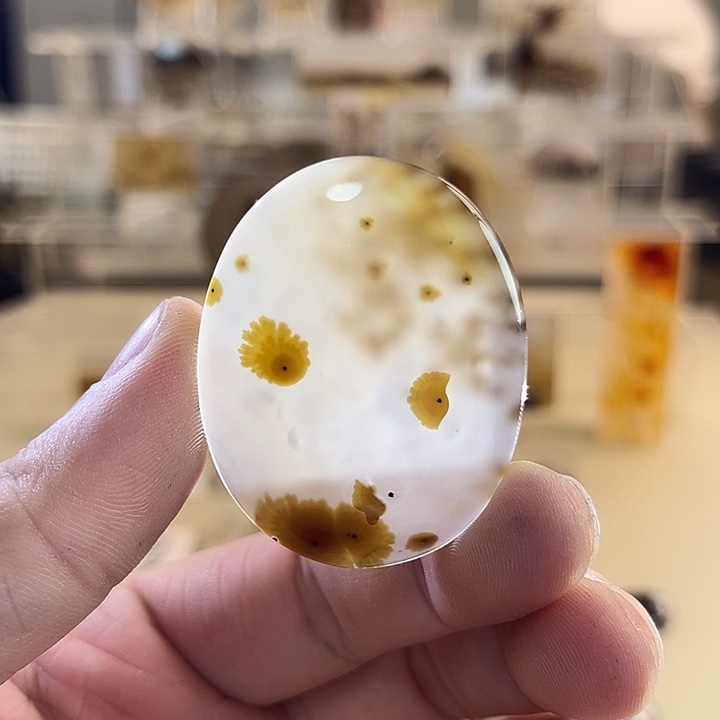 未镶嵌吊坠(不含链)玛瑙/玉髓