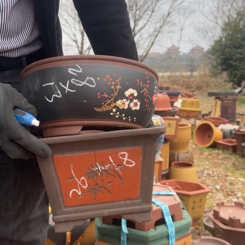 红陶紫砂花盆盆景盆栽