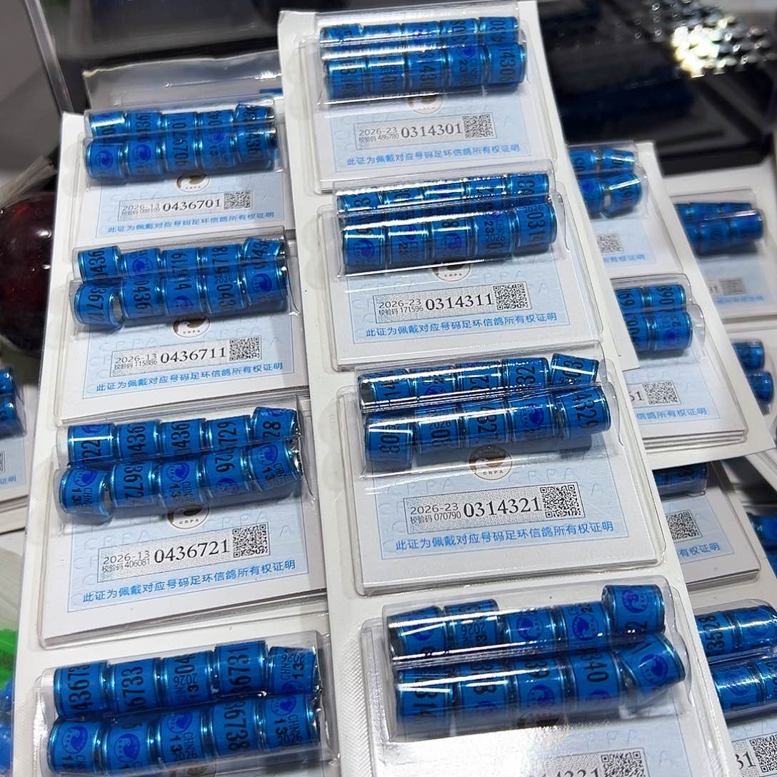 启*0314321 23 信鸽环