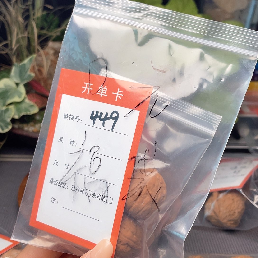 阳****马文玩核桃精品手捻449
