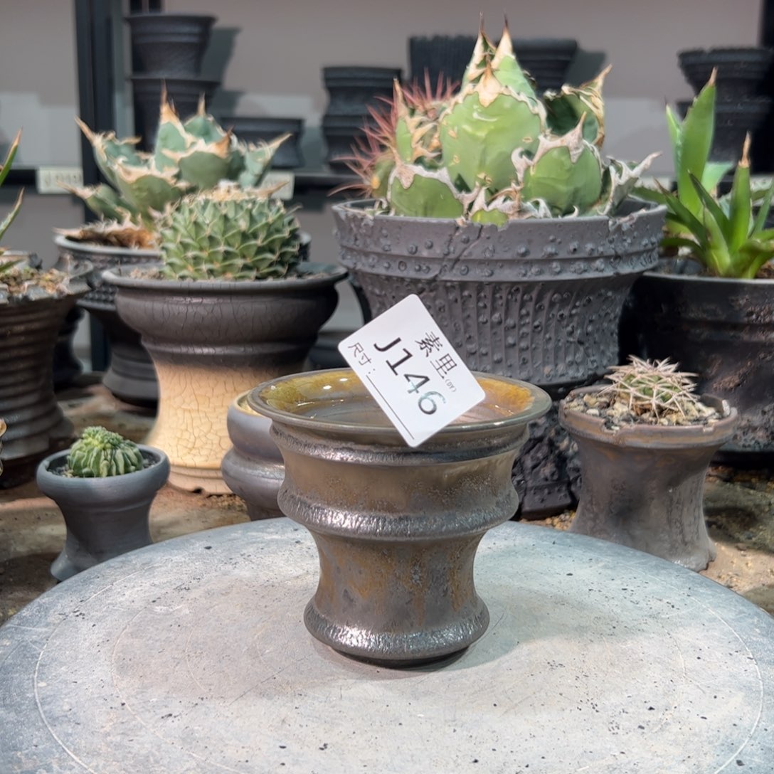 景德镇手工素里内口10.3高9