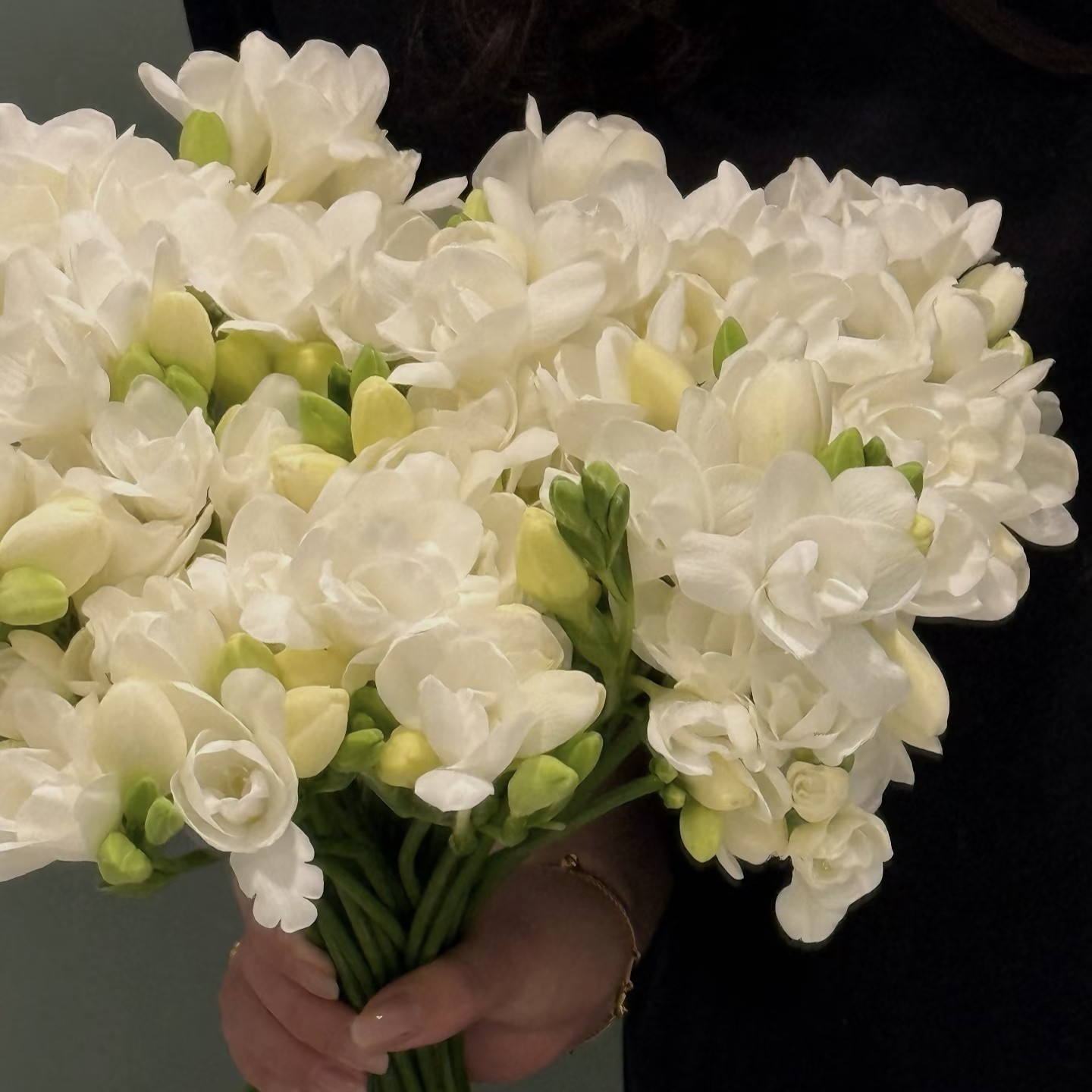 【重瓣白色香雪兰】不包邮一个运费任意拍