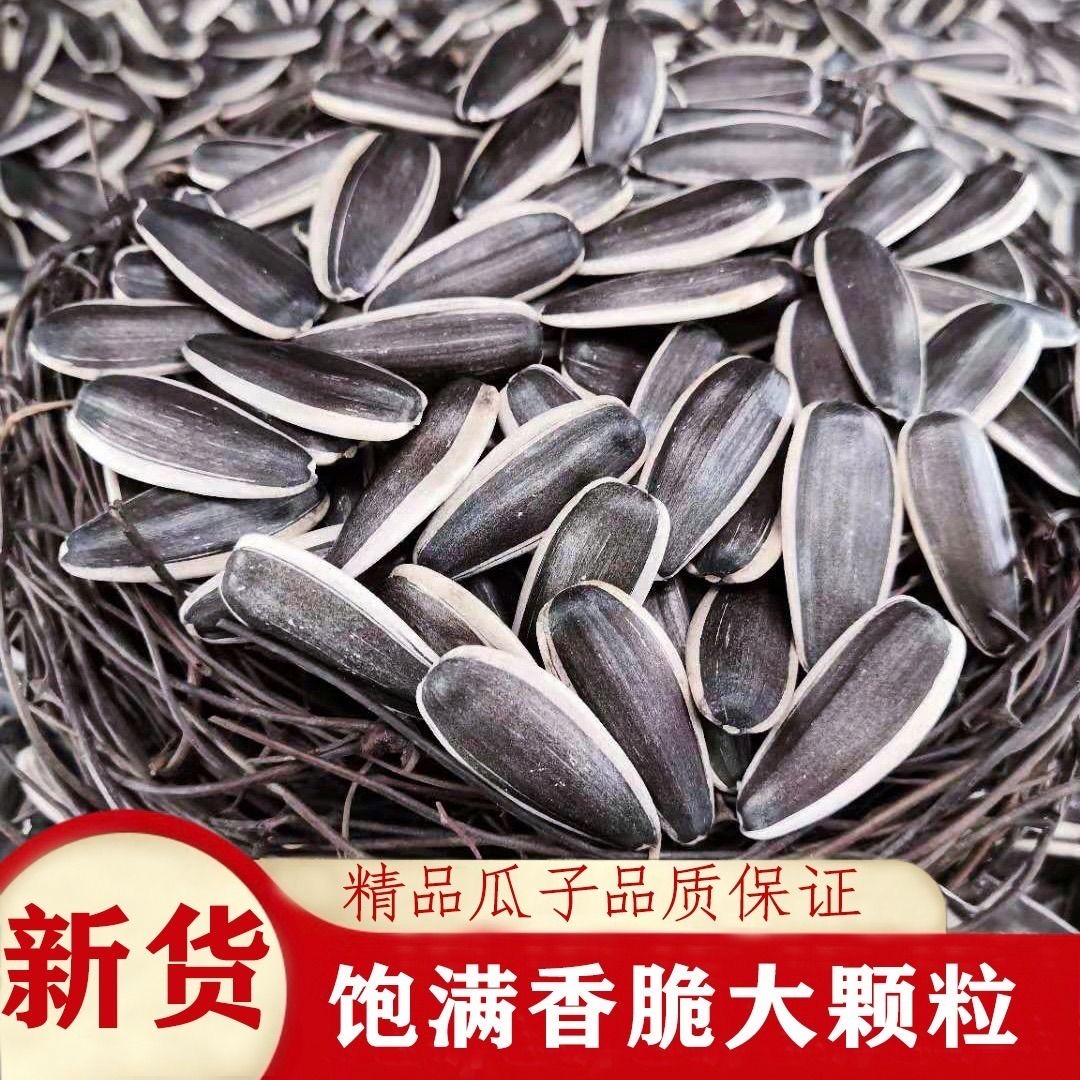 买一斤送一斤内蒙古原产地直发熟瓜子中大颗粒皮薄易嗑休闲零食