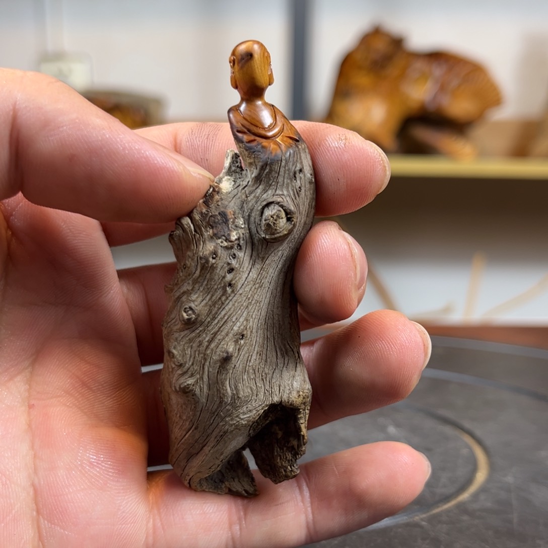 柏木（崖柏）c b vv b v b h b b n j