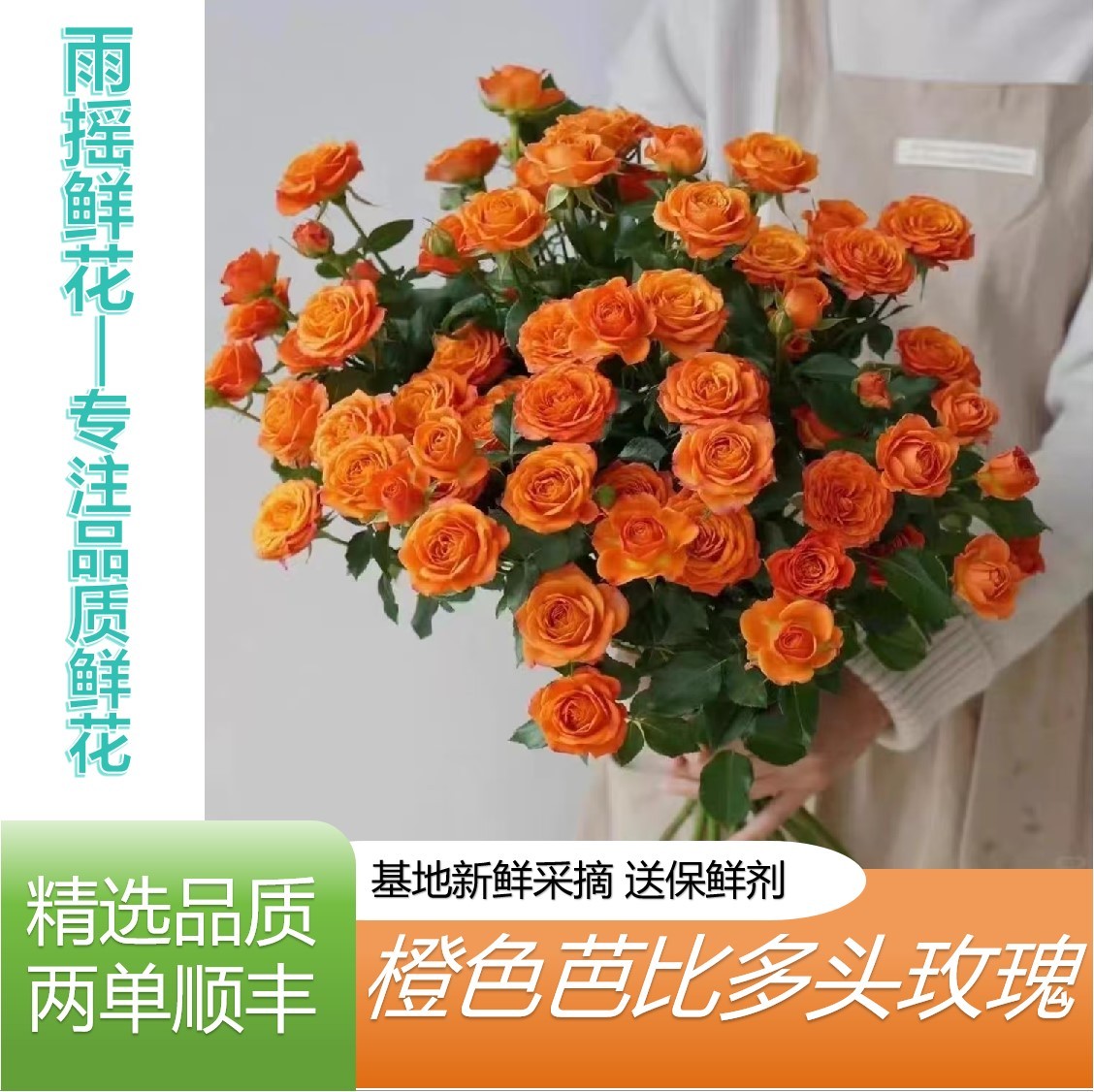 橙色芭比云南基地直发任意拍两单顺丰插瓶水养鲜花直播间现场卖花