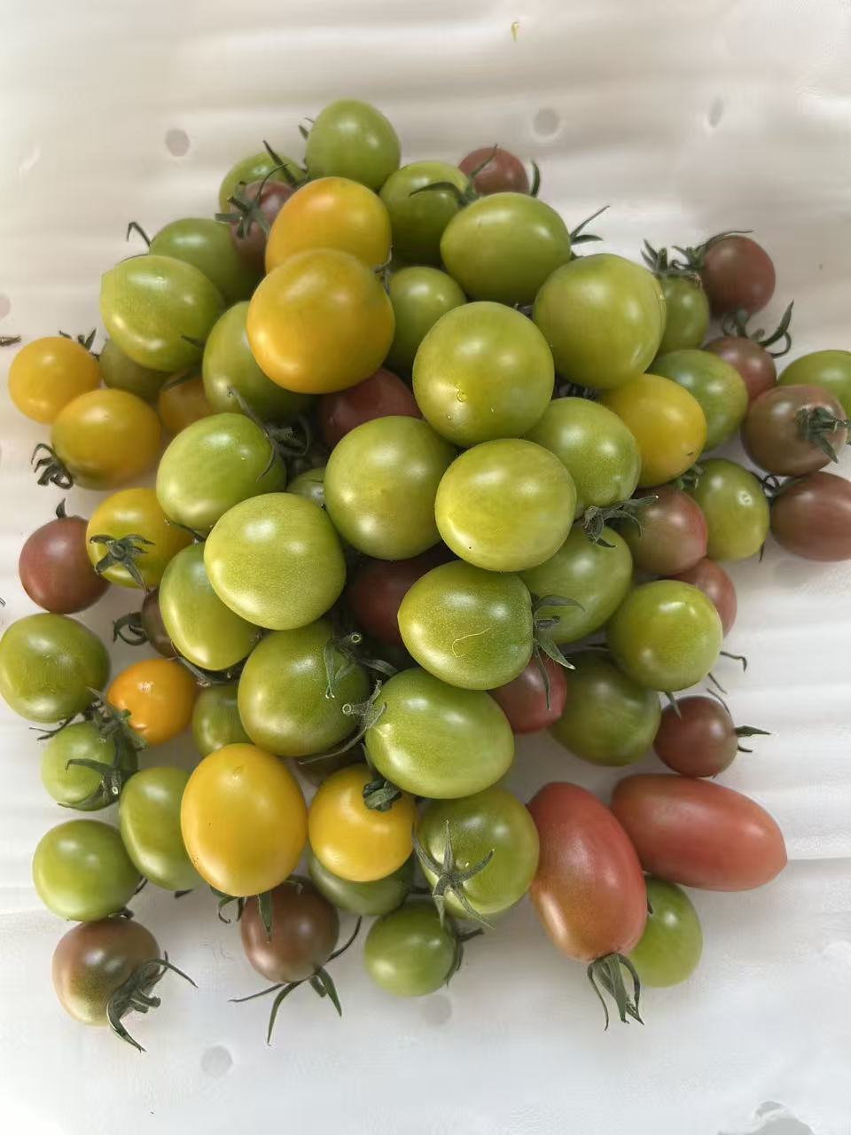 青甜2号小柿子，酸甜可口，柿子味道浓郁，营养丰富