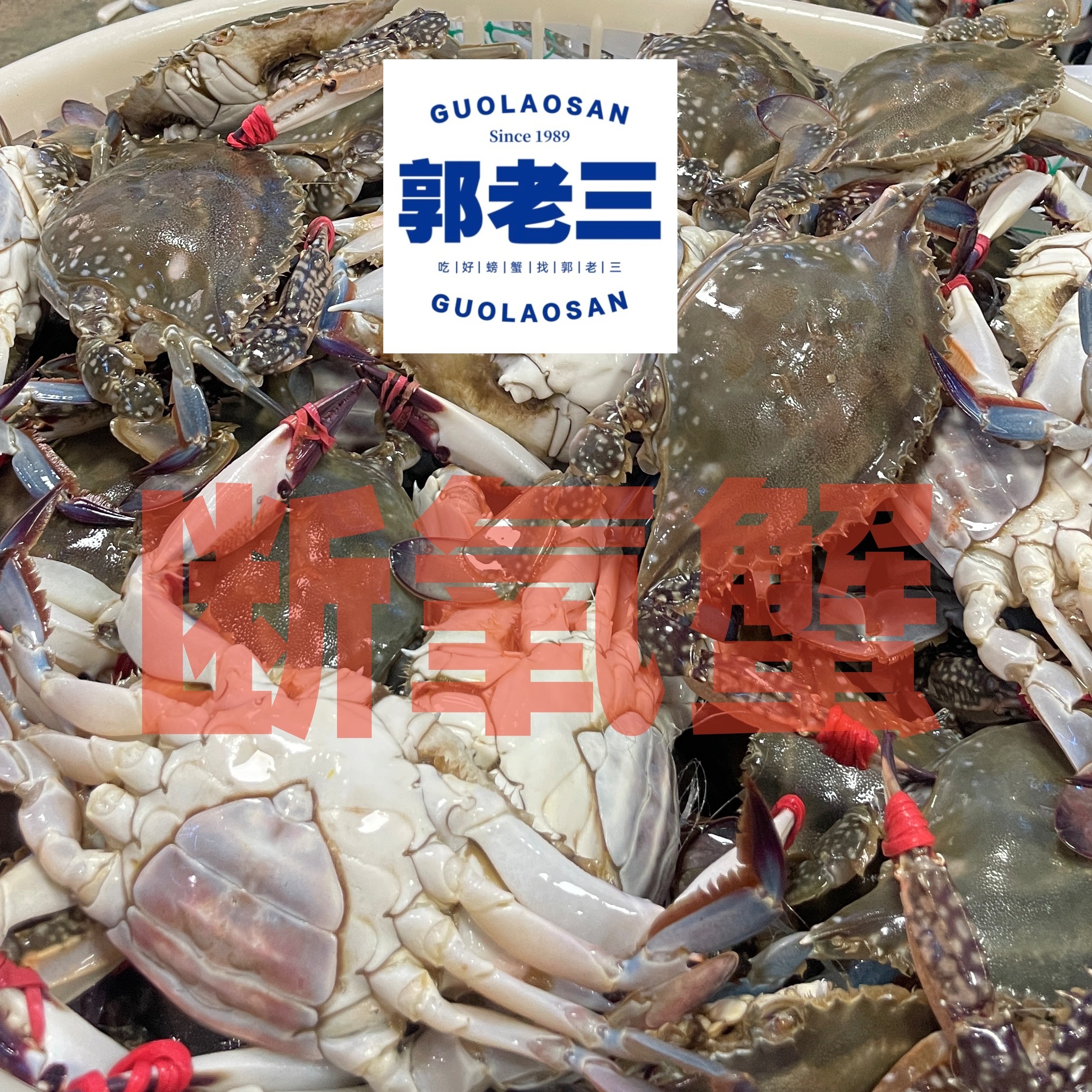 郭老三东李店｜睡觉觉梭子蟹 多斤装 多只多两【保鲜不保活】【不包腿全，no售后，介意勿拍】