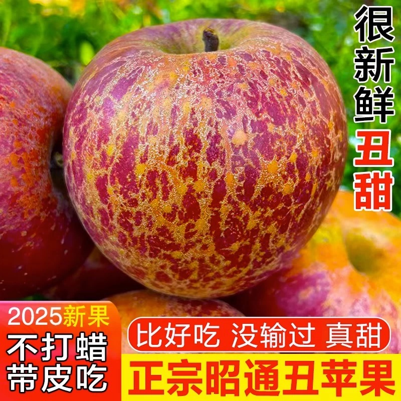 【直播专享】云南昭通丑苹果现摘现发当季新鲜脆甜多汁水果包邮