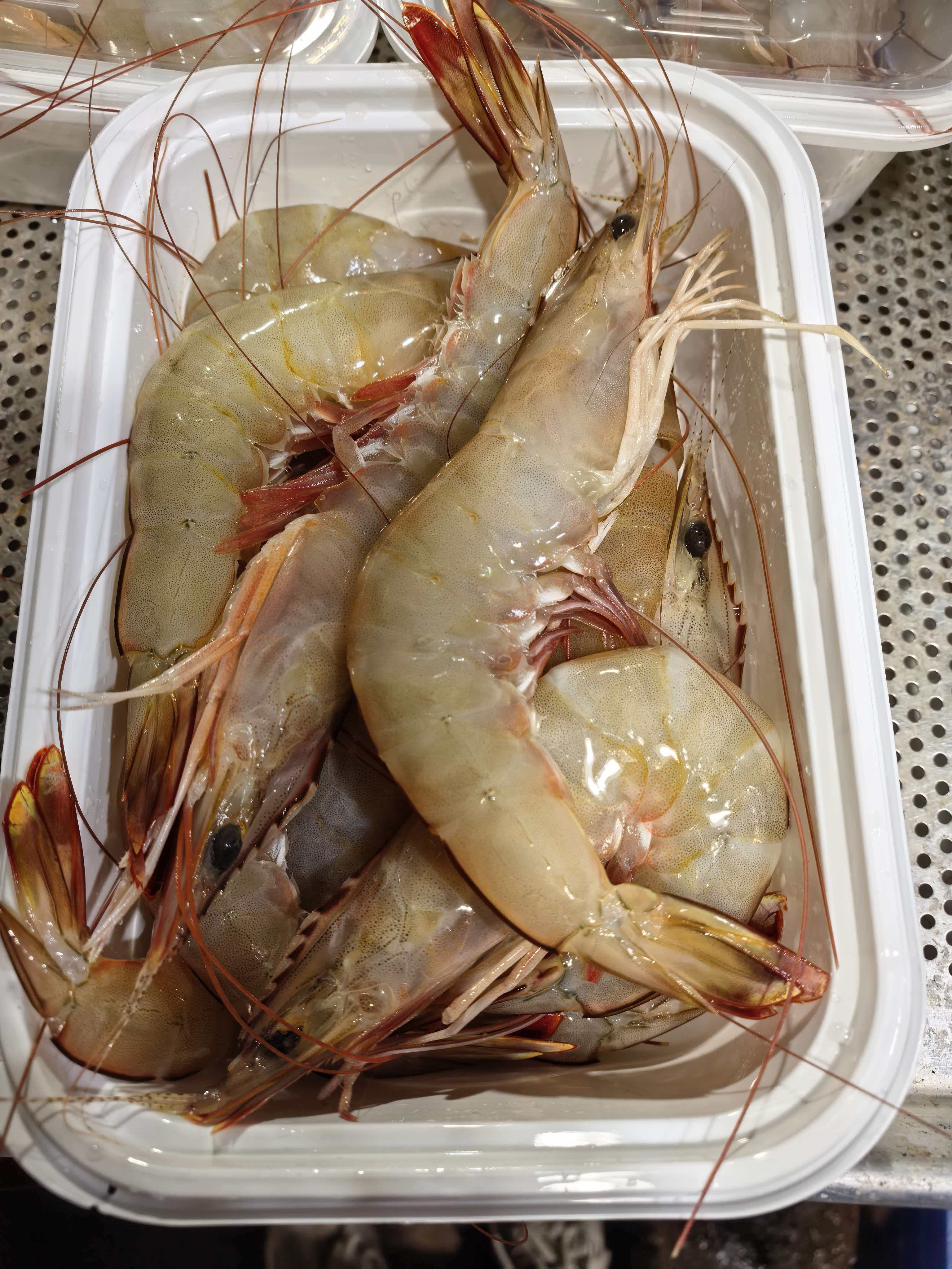 野生白虾5斤北茭码头当日到岸小船鲜货（泡水化冰）