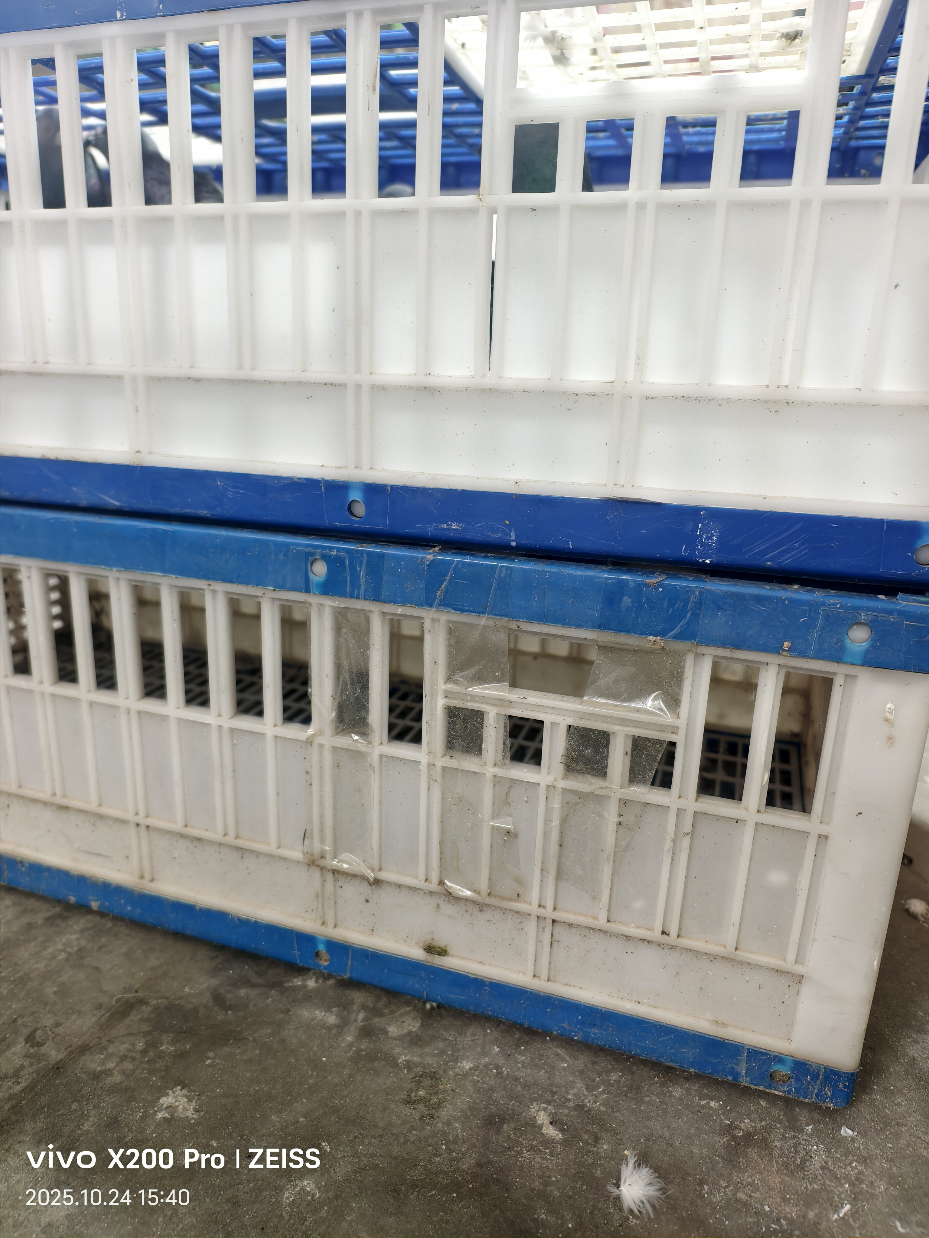塑料折叠鸽子放飞笼训放笼信赛鸽集鸽笼训鸽笼鸽具用品