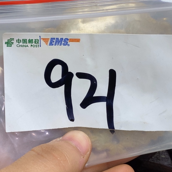 用***9五六七文玩专属连接
