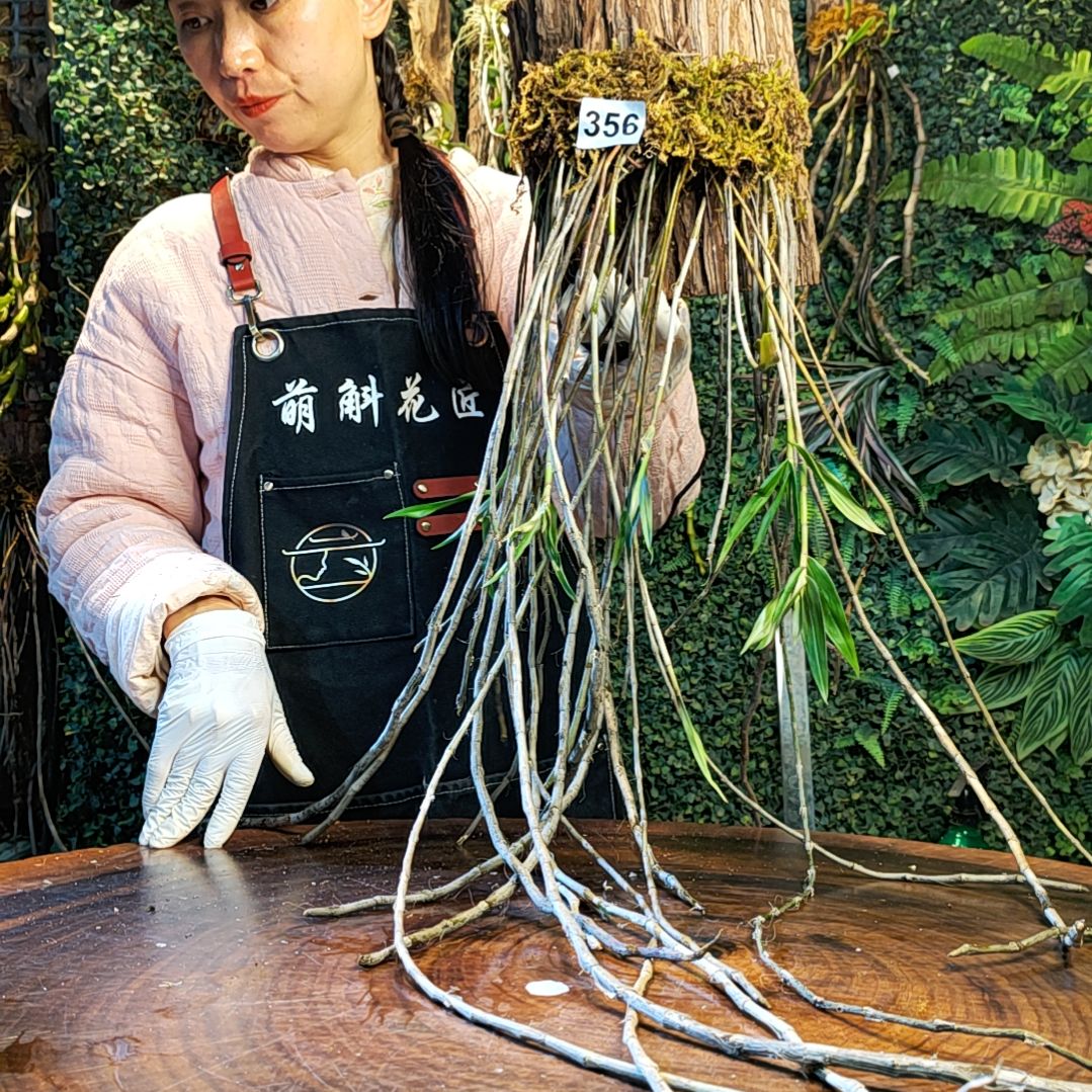 【闪购商品】356紫皮花花