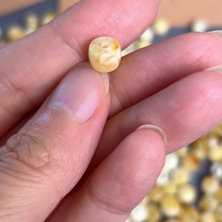 未镶嵌蜜蜡裸石7.6mm一个