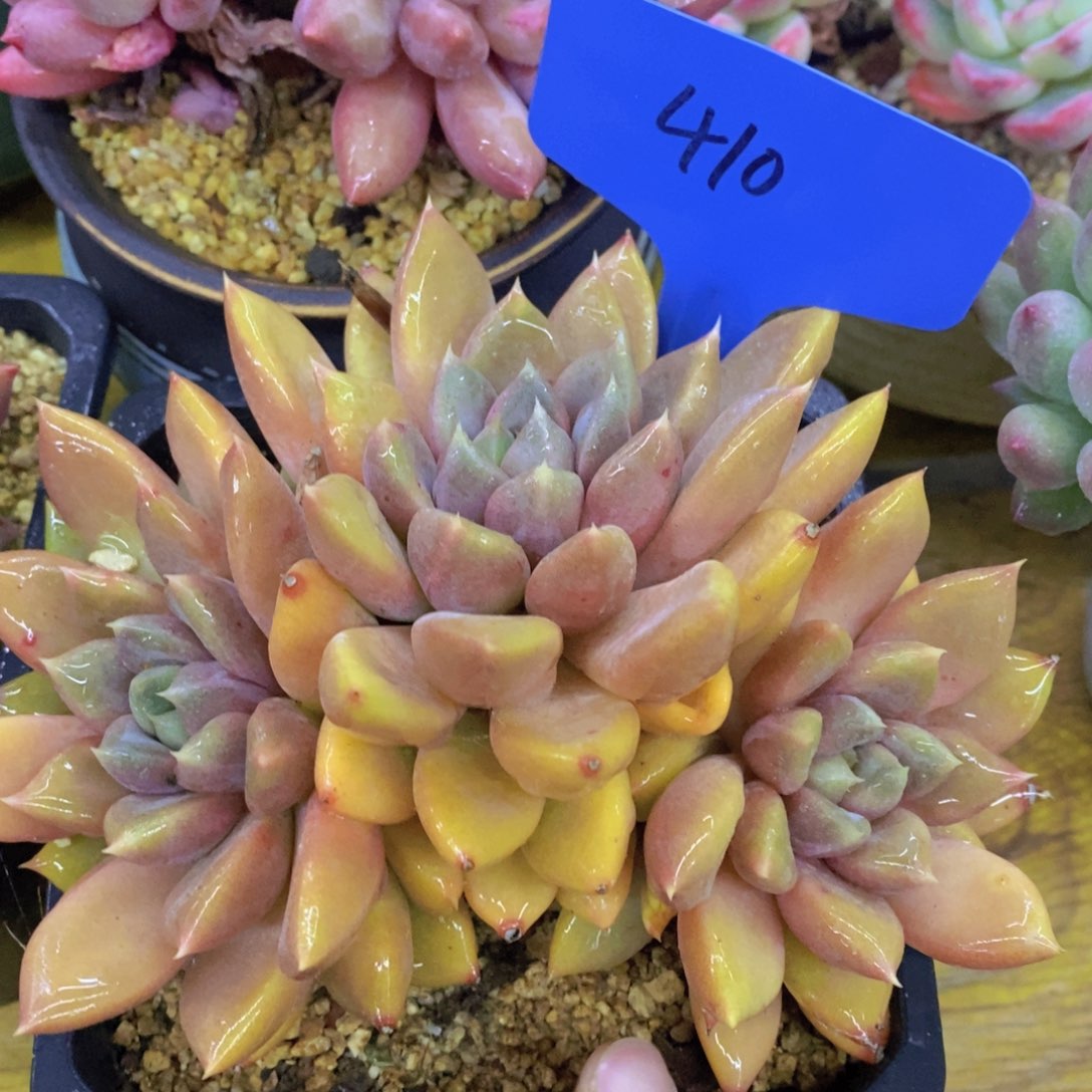 清货转场，一单包邮，满5宋1