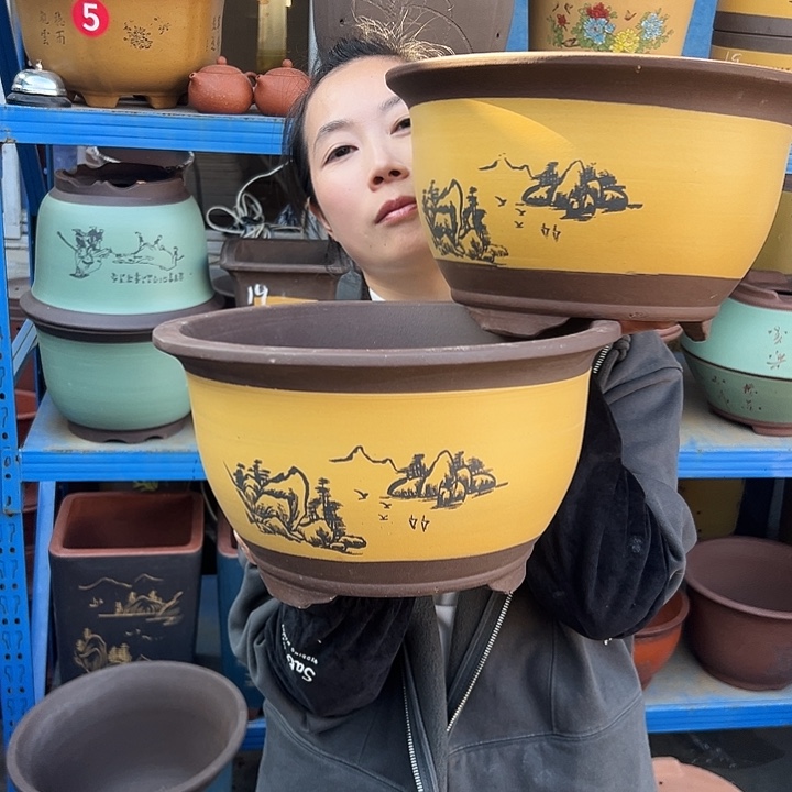 25+25黄三角金钟花盆花盆花盆