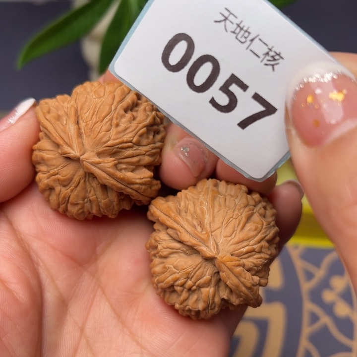 文玩核桃把件39白狮子57