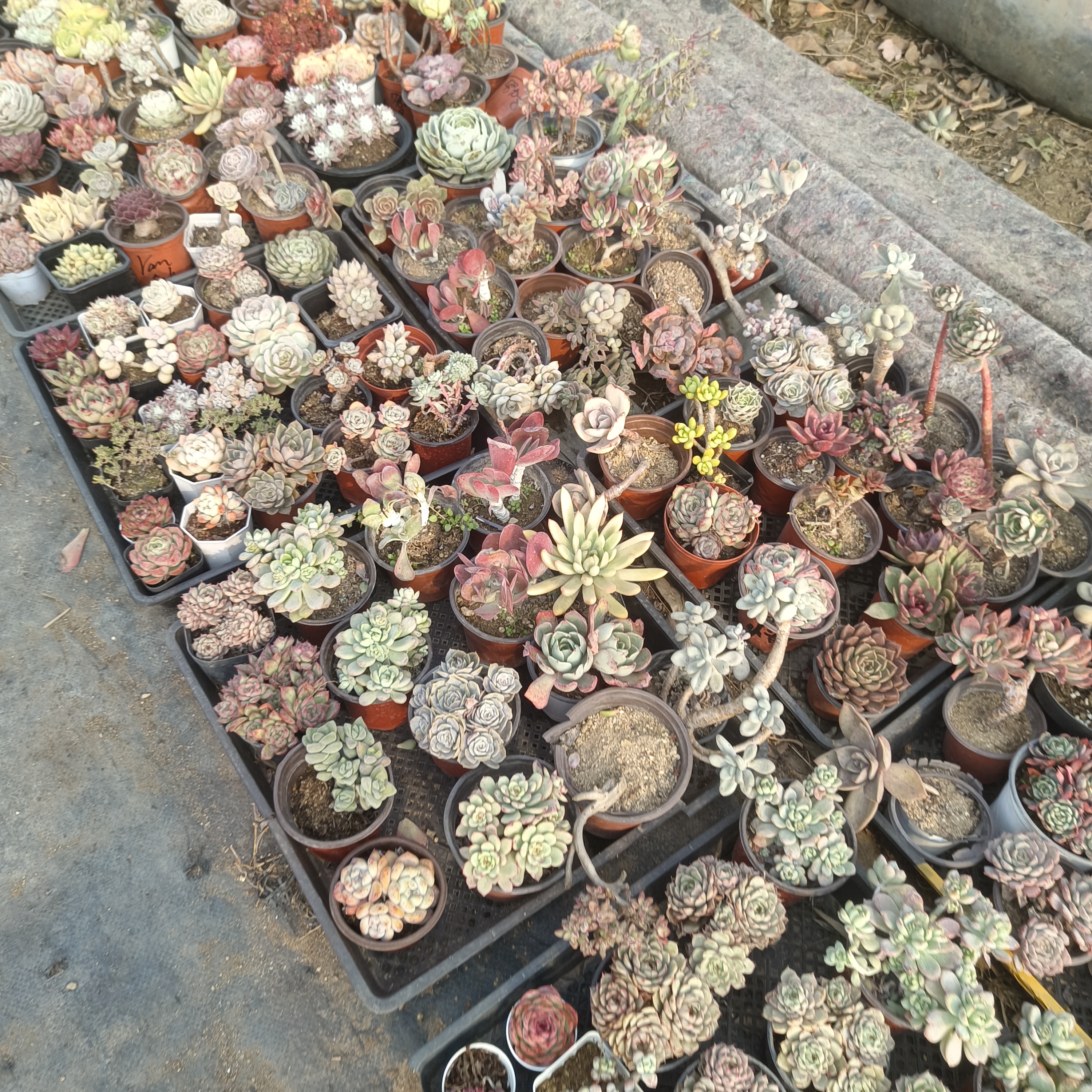 一物一拍！一物一挑！综合链接！拍满包邮付款发货