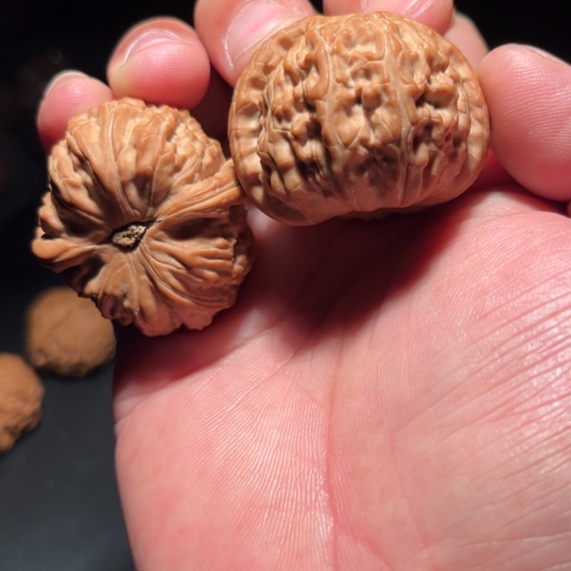 【闪购商品】爱***瓜文玩核桃木制手把件