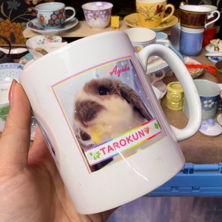 瓷片瓷片瓷片瓷片