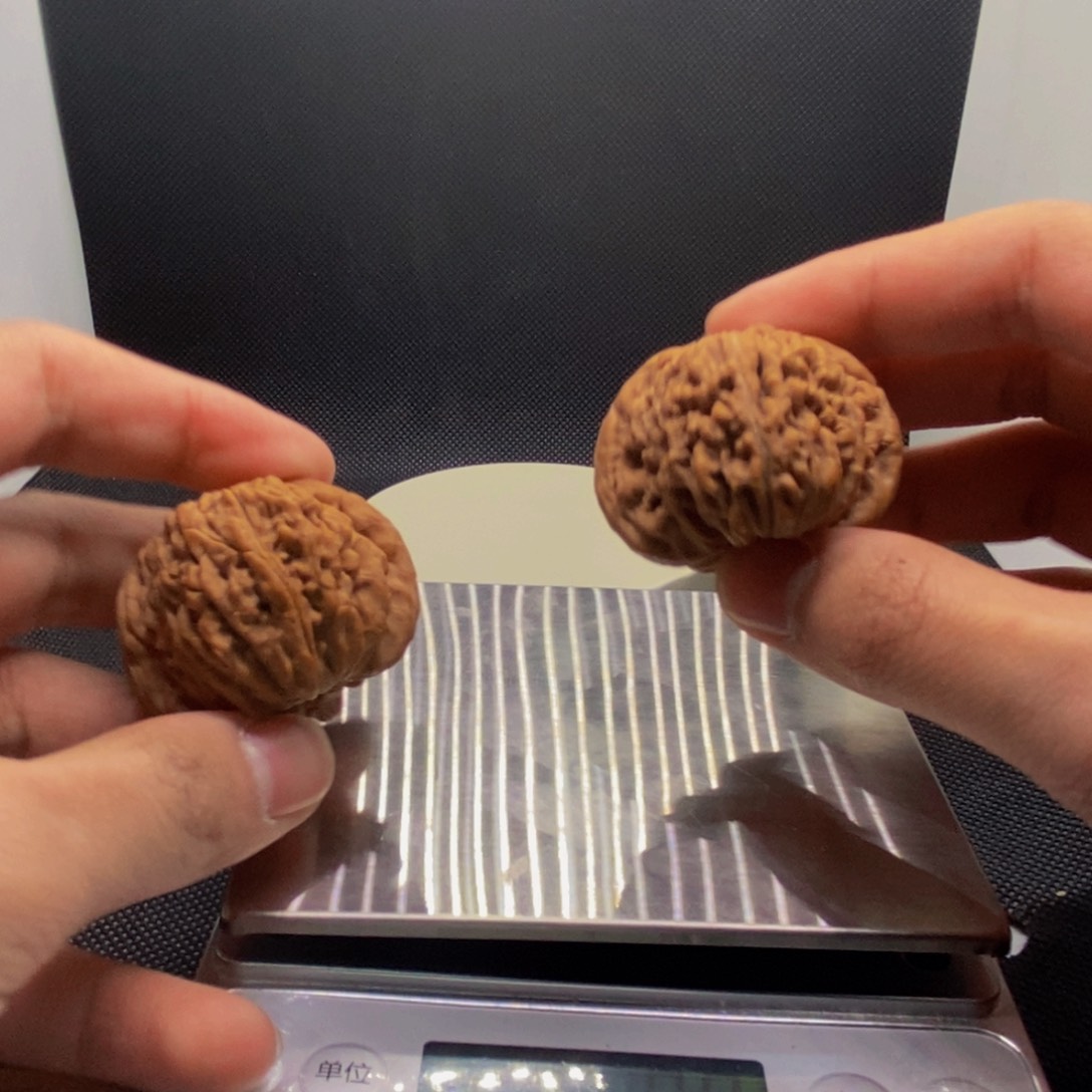 纵***：四座楼 42/40.5/31