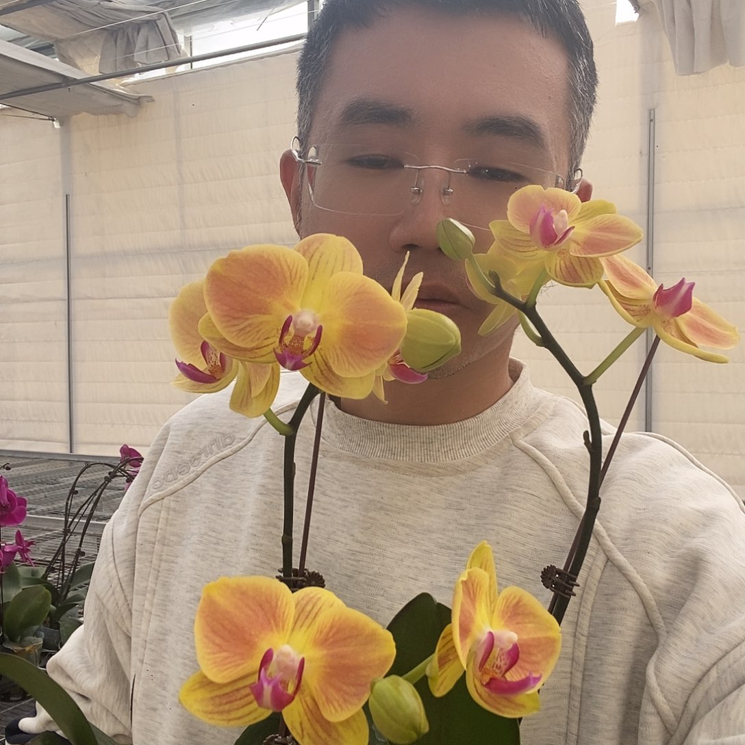 完全开放好吉利2颗0034