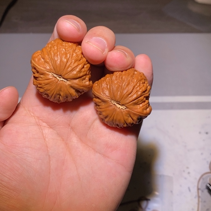 大叶紫檀（黑酸枝木类）