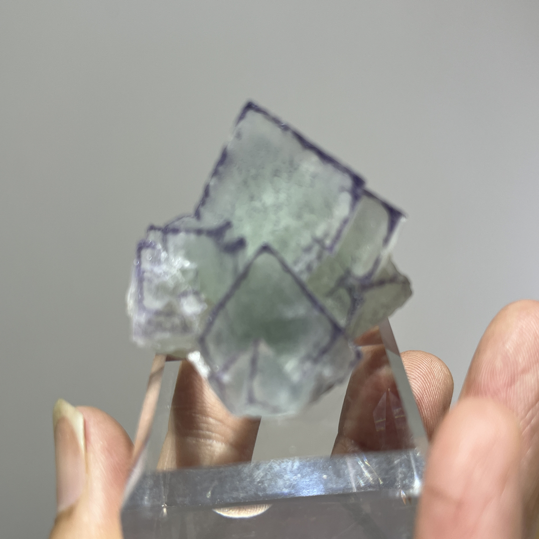 天然贵州产出蓝色紫边蓝萤石标本摆件