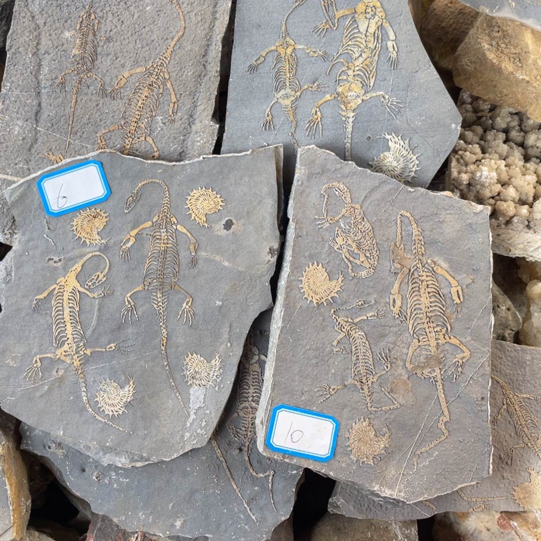 石材666666666666666