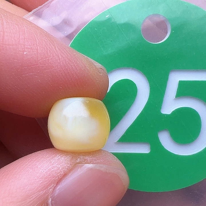 蜜蜡裸石未镶嵌金沙9.2m m