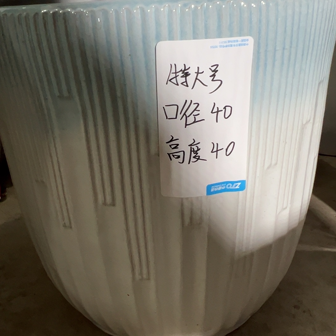 蓝口渐变色特大号一级品2个