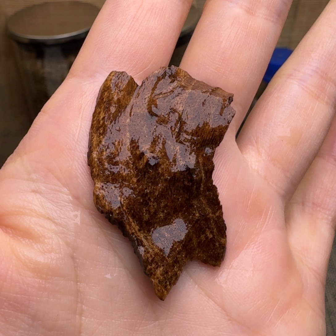 木海南霸王岭沉水老料1.3克