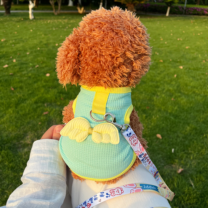 小泰迪猫咪衣服狗狗背心夏季薄款夏天小狗衣服宠物蓝猫博美防掉毛