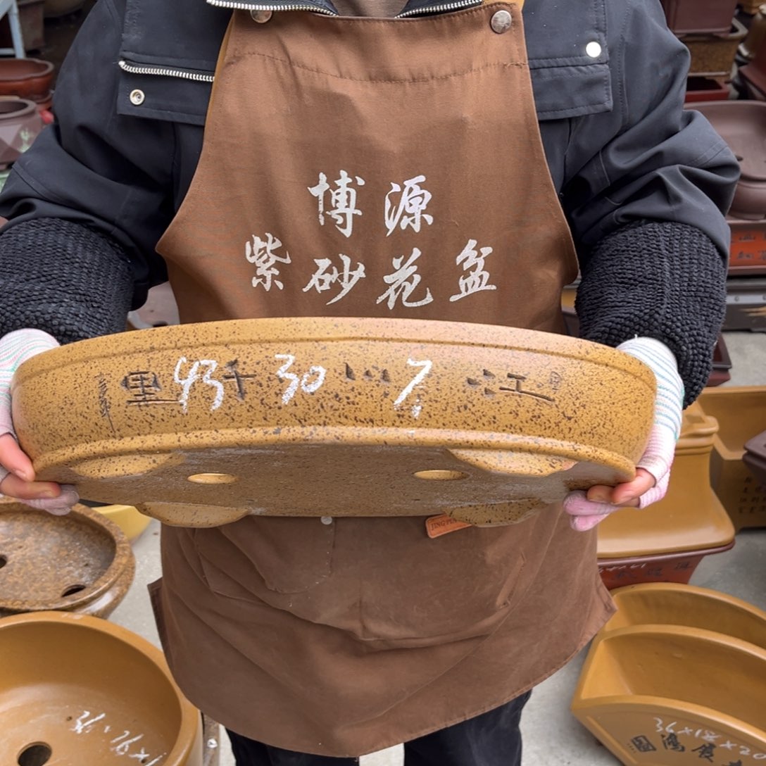 花盆紫砂盆景艺术