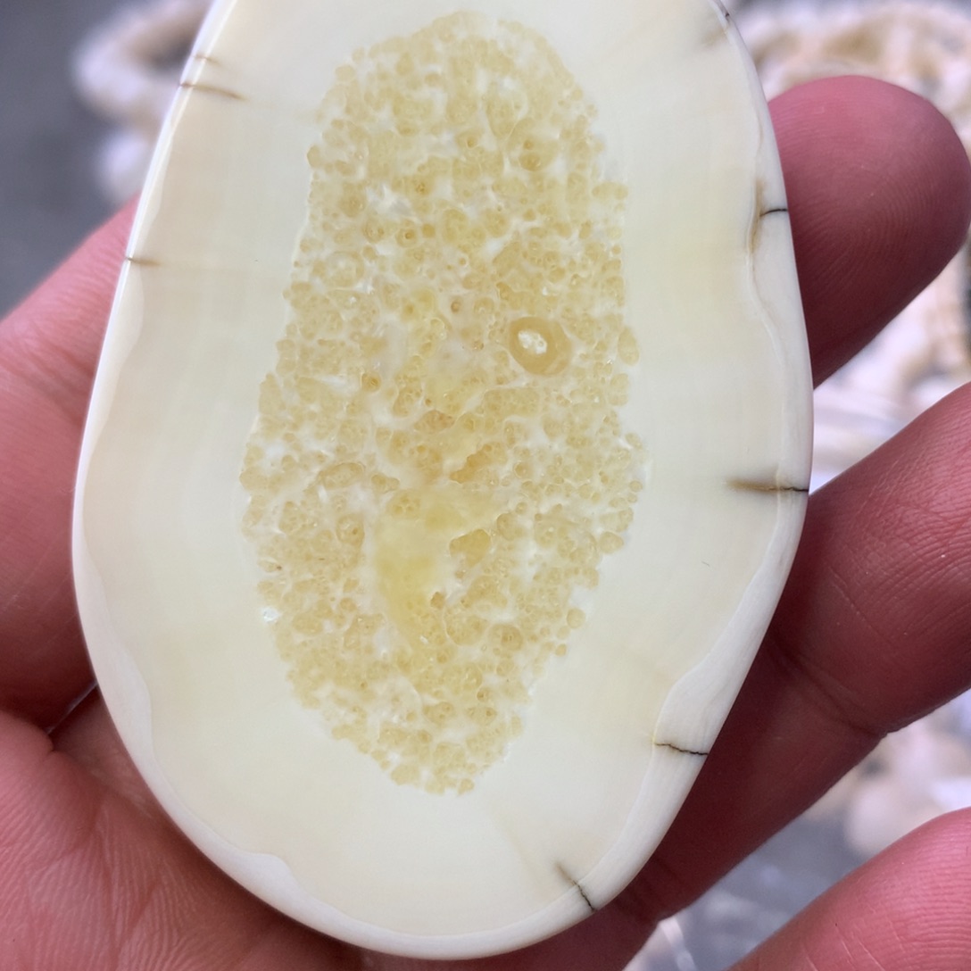 橄榄核手串/手链w d 22