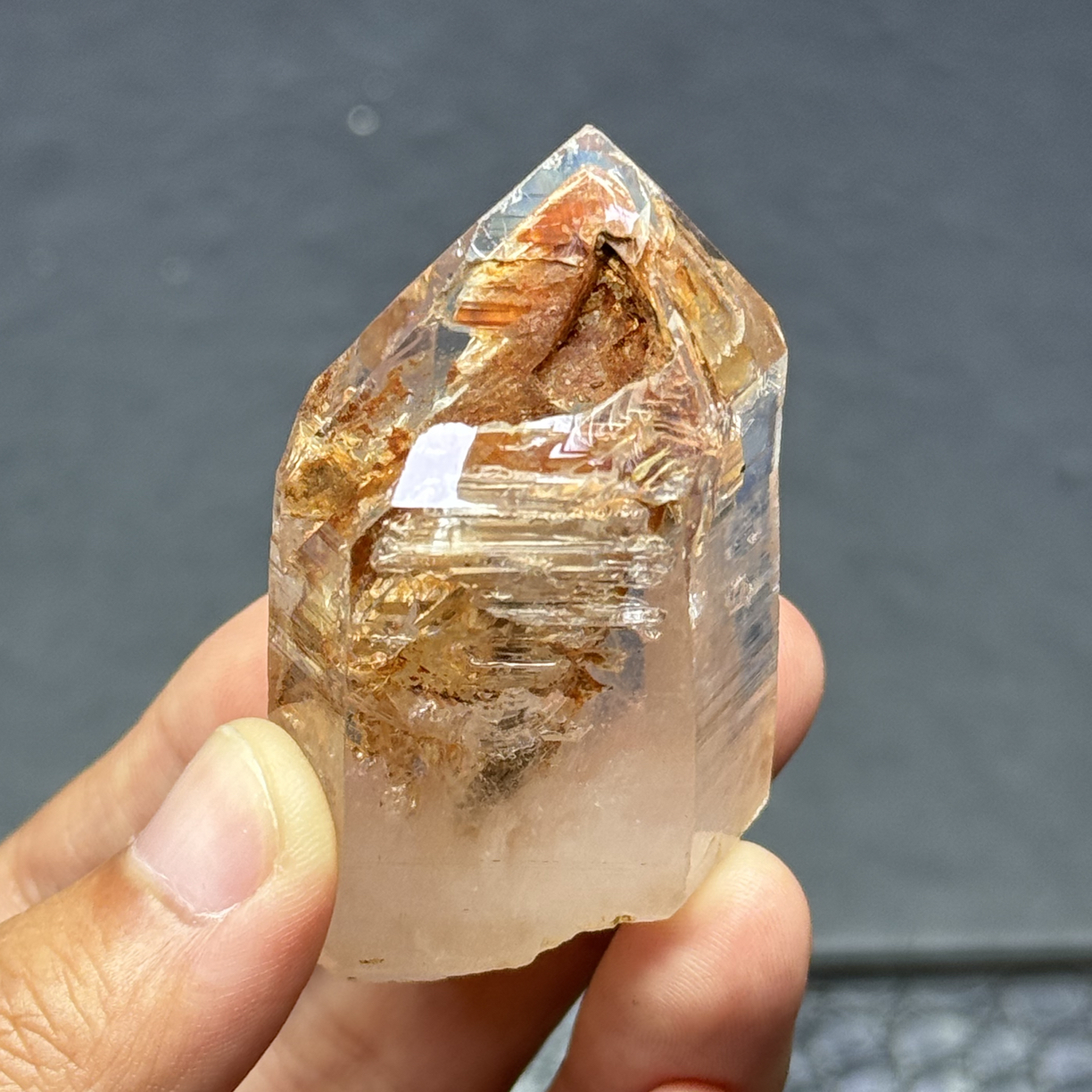 天然马岛红泥骸骨