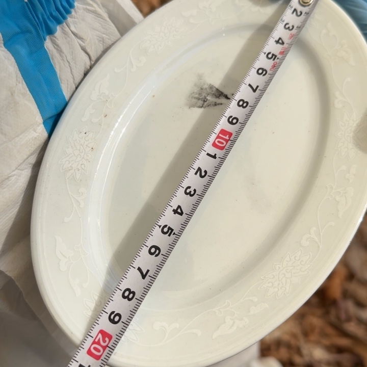 醴陵暗花群力20厘米鱼盘微瑕