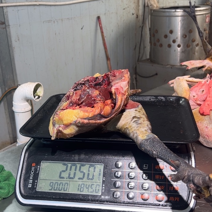 二号土鸡食用农产品中国大陆果*呀