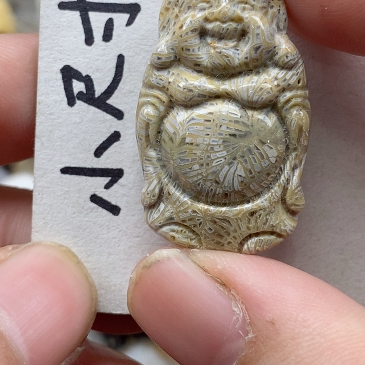 颈饰未镶嵌硅化珊瑚（珊瑚玉）