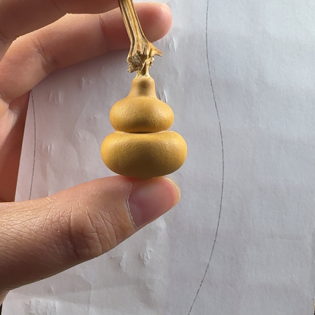 康***粒葫芦葫芦葫芦葫芦葫芦葫芦