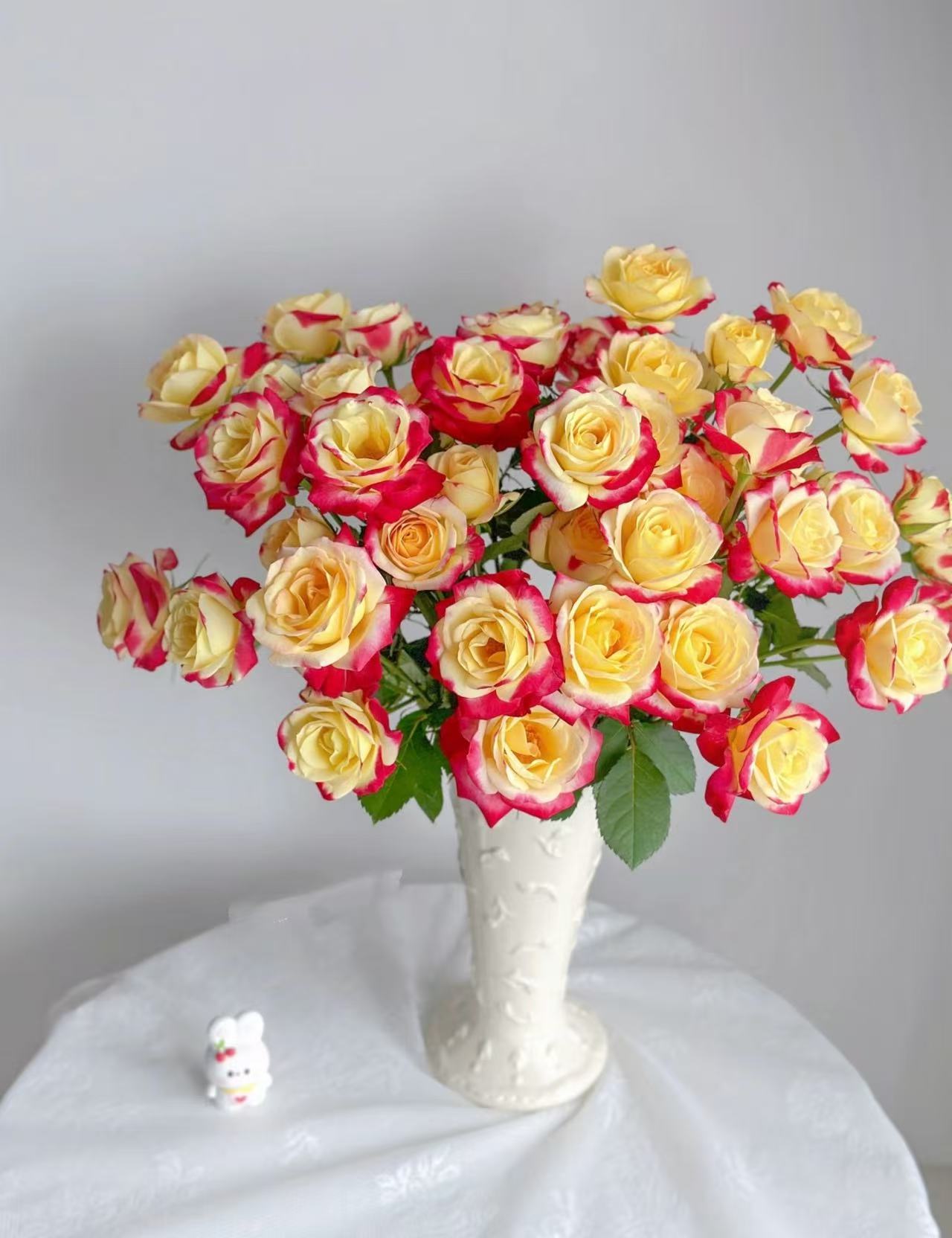 【陌上花开】醉红妆-稀有多头玫瑰（注意：带包装醒花哦~）