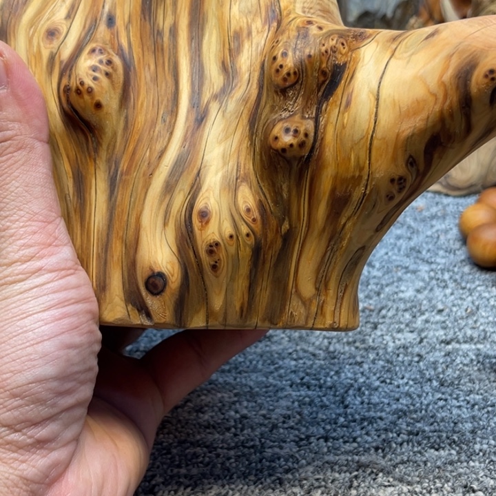 柏木（崖柏）崖柏300