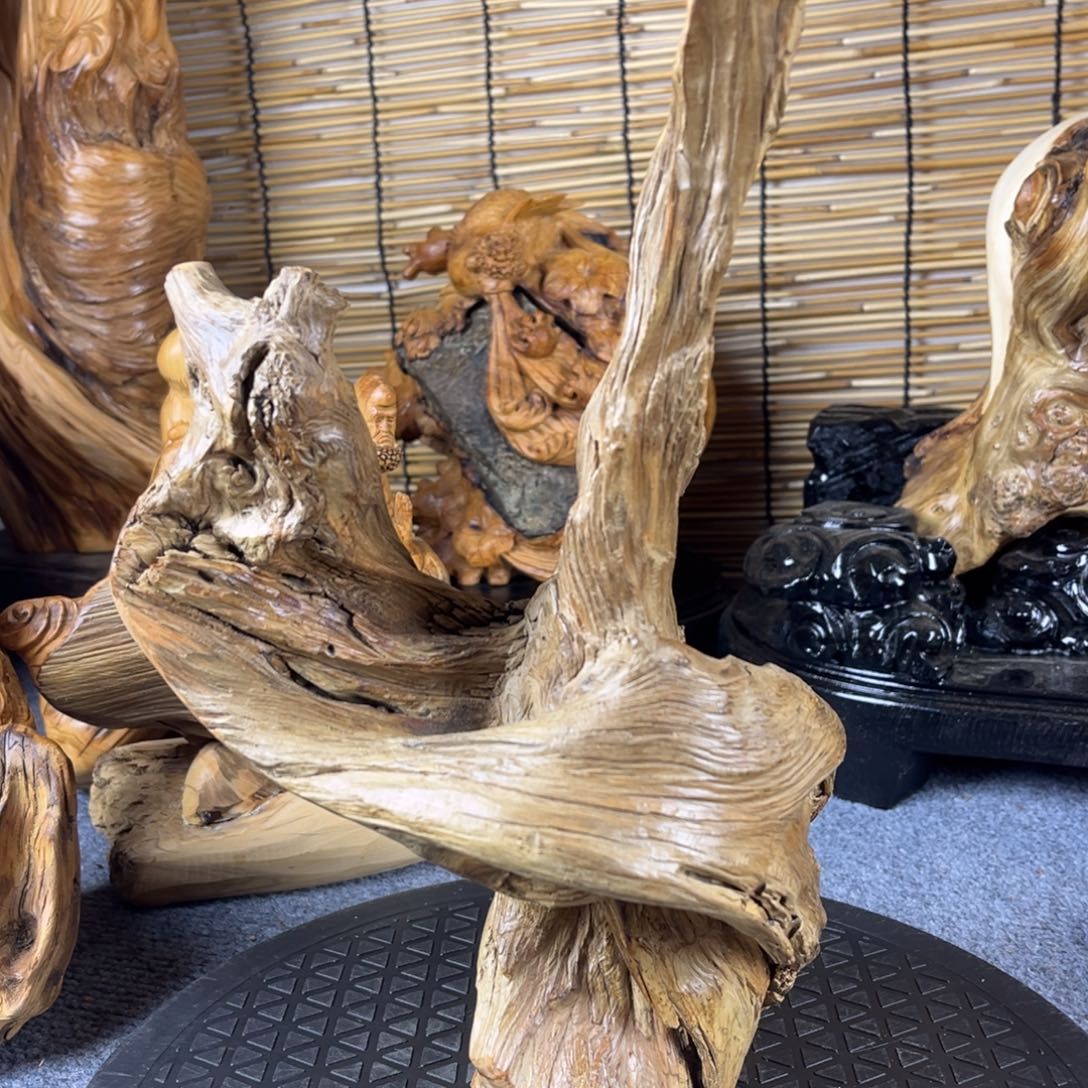 柏木崖柏崖柏崖柏