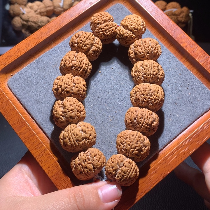 菩提籽类24+琅琊梅花