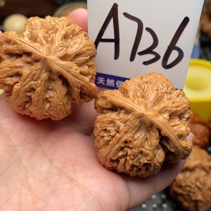 把件桃核大粗筋45