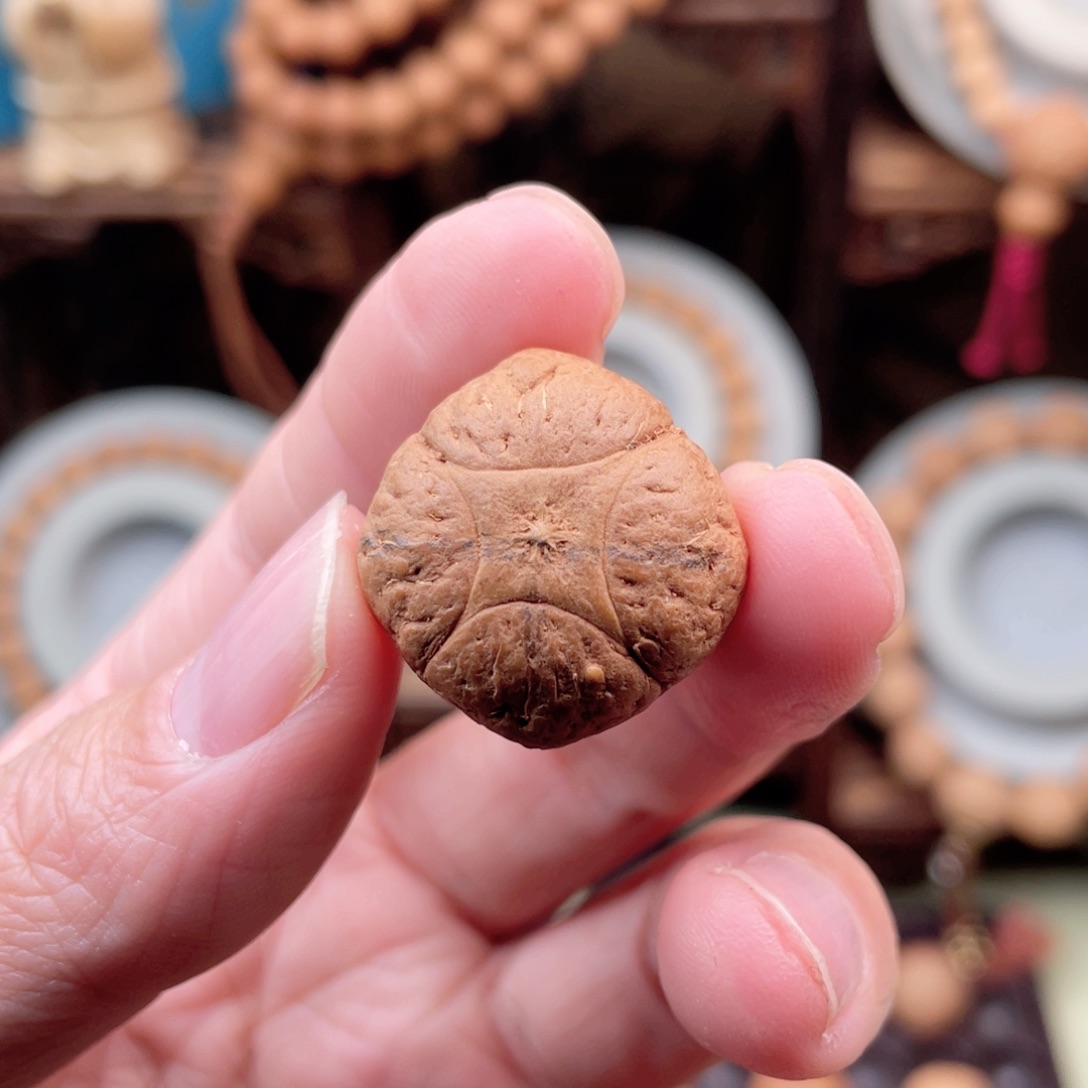 吊坠凤眼菩提X***X麒麟