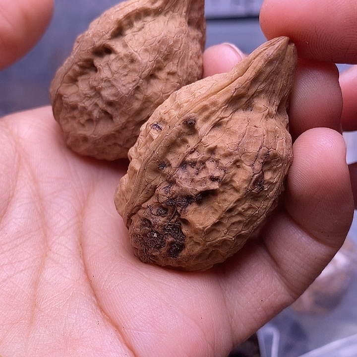 小***吴文玩核桃把件   278