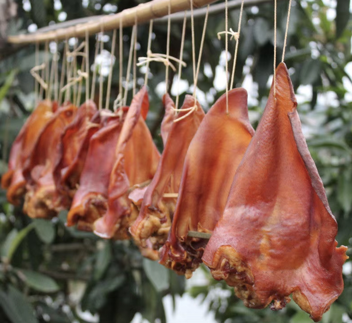 四川特产烟熏腊猪耳朵地道农家下酒菜