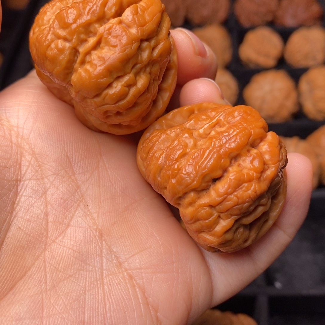 文玩核桃把件秦岭野生核桃