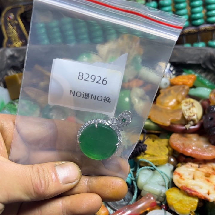 *****龙脊菩提吊坠工艺品b2926